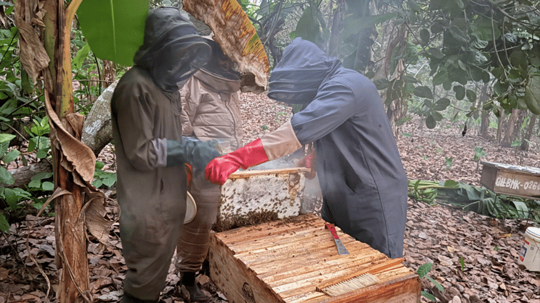 beekeepers in ghana