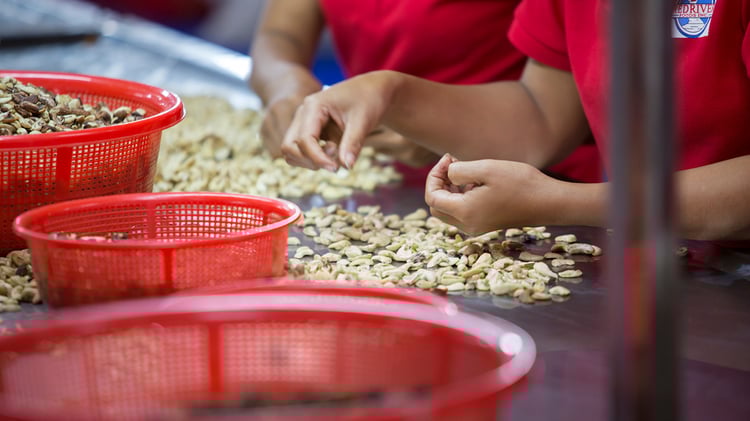 Red River Foods employee sorting cashews