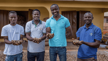 Red River Foods cashew farmers holding drying cashews