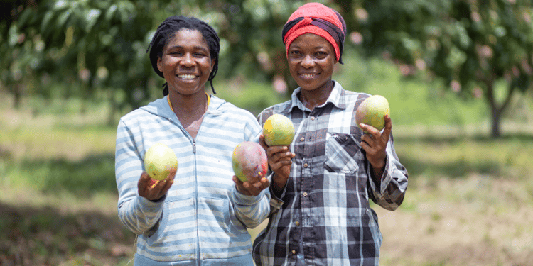 two female mango farmers smiling