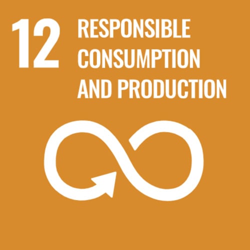 SDG 12 - Responsible consumption and production - circular recycling icon