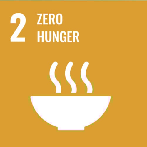 SDG-2---Zero-Hunger-with-bowl-of-soup-icon